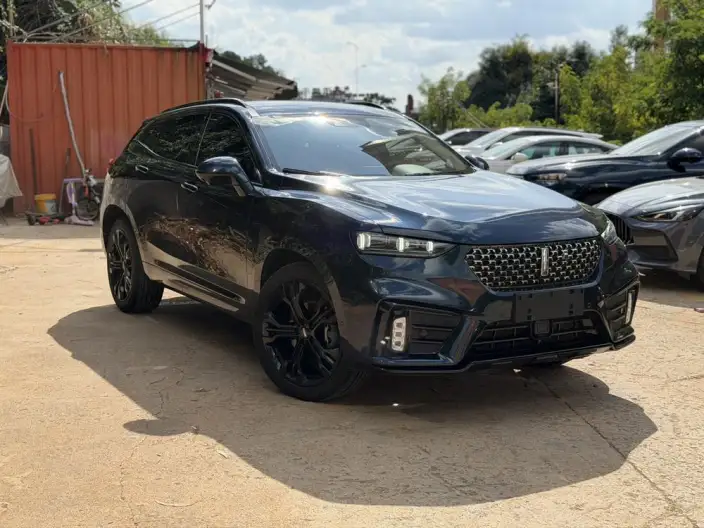 WEY VV7 2021 Model 2.0T Technology Edition – фото 3