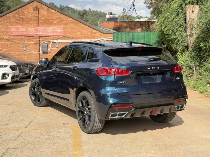 WEY VV7 2021 Model 2.0T Technology Edition – фото 4