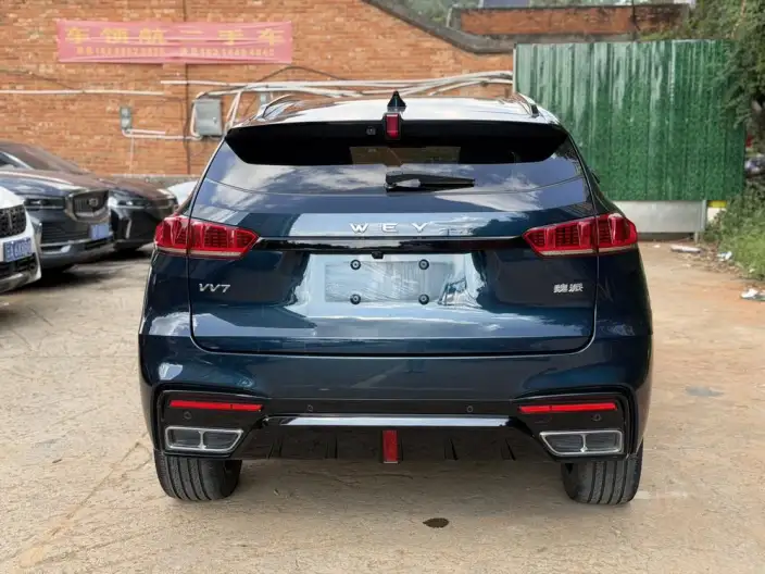 WEY VV7 2021 Model 2.0T Technology Edition – фото 5