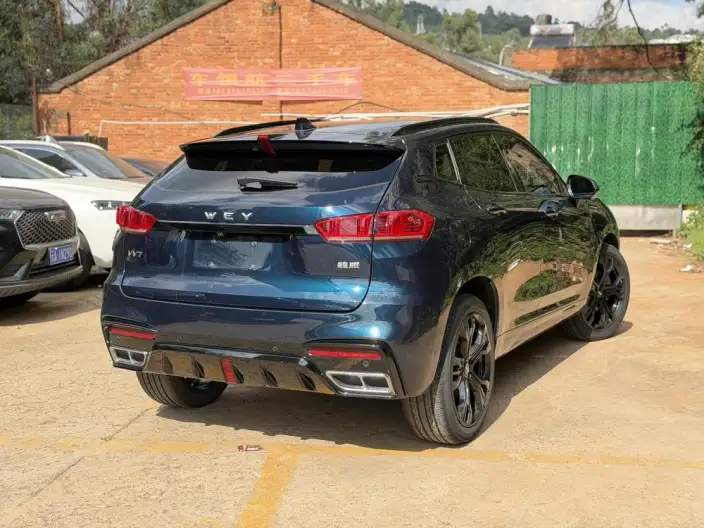 WEY VV7 2021 Model 2.0T Technology Edition – фото 6