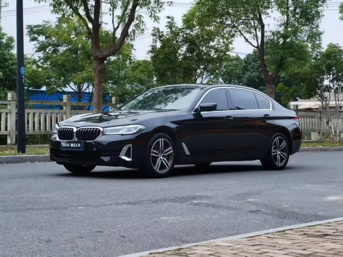 BMW 5 Series 2021 Model 530Li Leading Model Luxury Set – фото 1