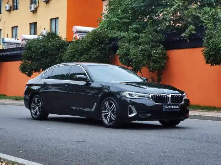 BMW 5 Series 2021 Model 530Li Leading Model Luxury Set – фото 3