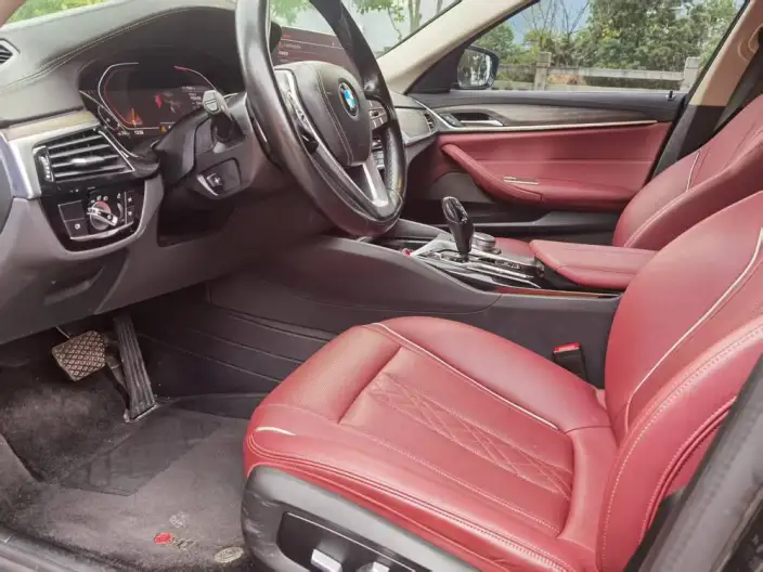 BMW 5 Series 2021 Model 530Li Leading Model Luxury Set – фото 9