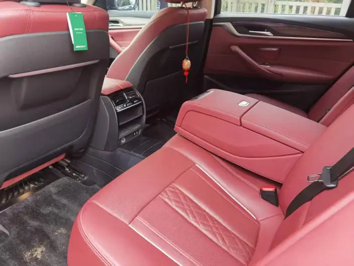 BMW 5 Series 2021 Model 530Li Leading Model Luxury Set – фото 10