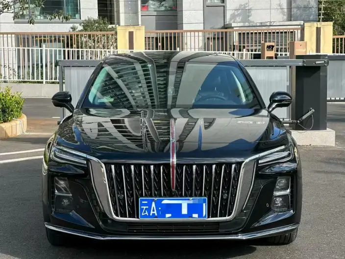 Hongqi H5 2023 Model 2.0T Automatic Flag Enjoy Edition – фото 2