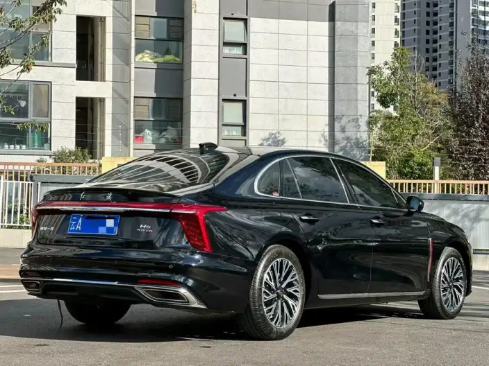 Hongqi H5 2023 Model 2.0T Automatic Flag Enjoy Edition – фото 5