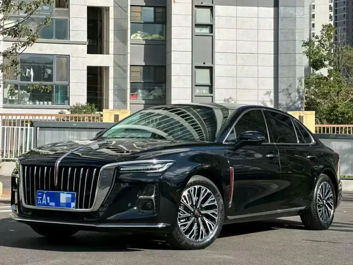 Hongqi H5 2023 Model 2.0T Automatic Flag Enjoy Edition – фото 10