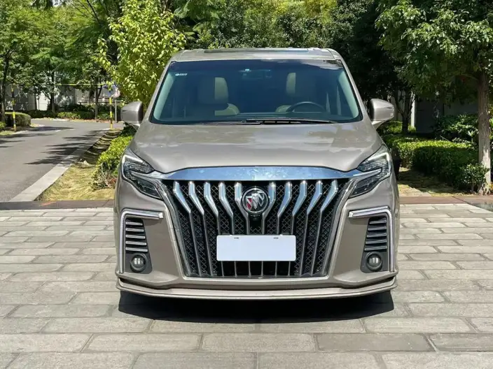 Buick GL8 2022 Model ES Luzun 653T Exclusive Model – фото 2