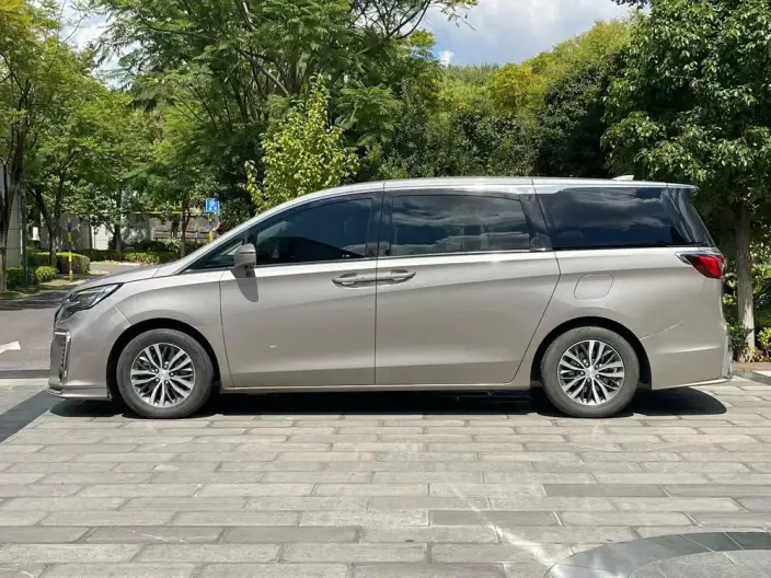 Buick GL8 2022 Model ES Luzun 653T Exclusive Model – фото 3
