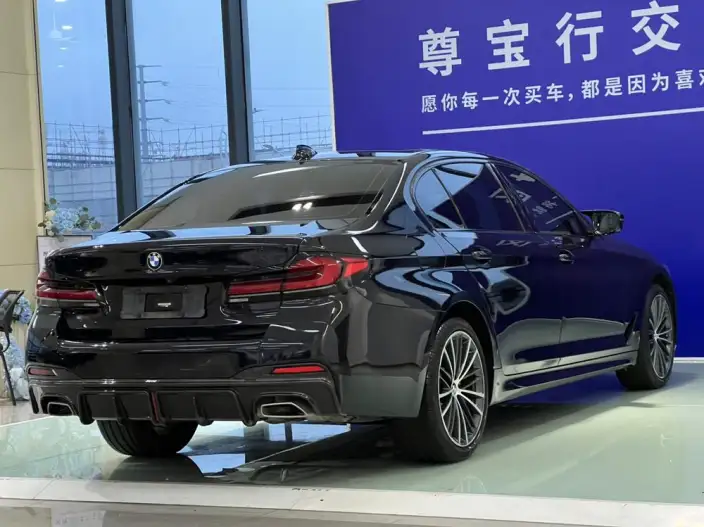 BMW 5 Series 2021 Model 530Li Leading Model M Sports Set – фото 6