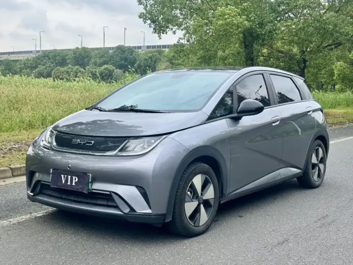 BYD Dolphin 2023 Model Fashion Edition – фото 1