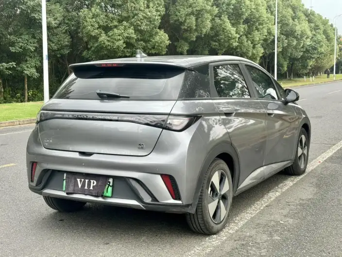 BYD Dolphin 2023 Model Fashion Edition – фото 6