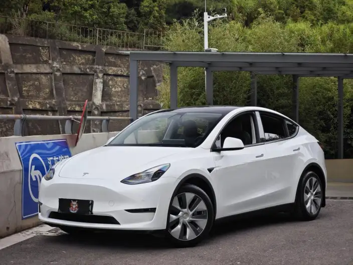 Model Y 2021 Model Standard Battery Life Rear-wheel drive version – фото 1