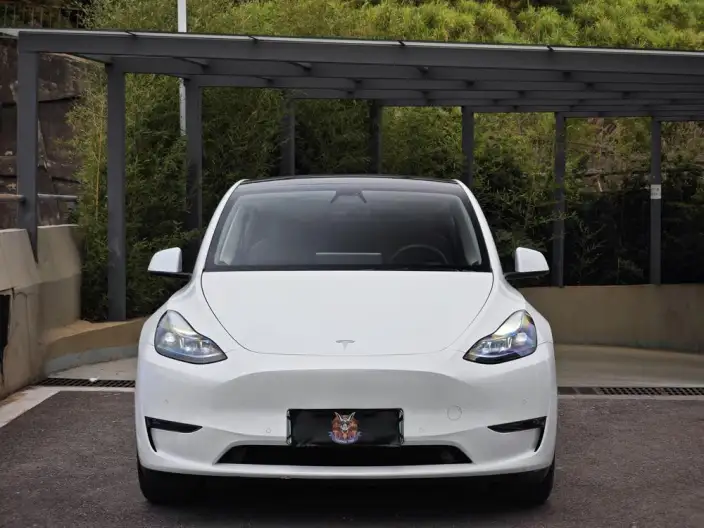 Model Y 2021 Model Standard Battery Life Rear-wheel drive version – фото 2