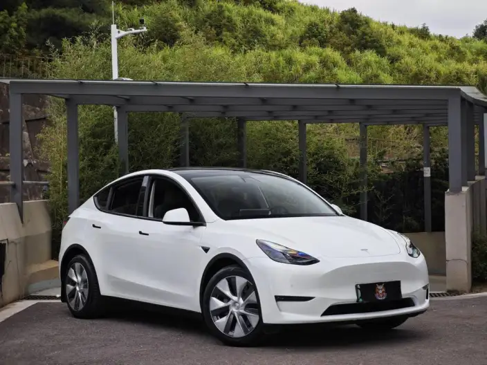 Model Y 2021 Model Standard Battery Life Rear-wheel drive version – фото 3