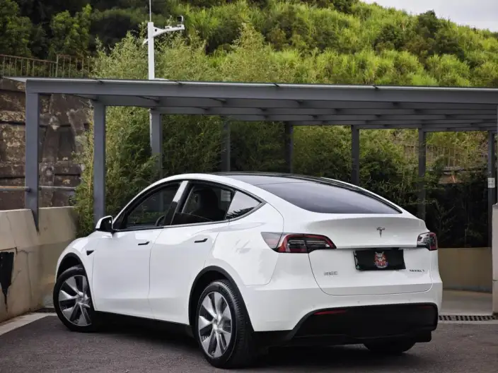 Model Y 2021 Model Standard Battery Life Rear-wheel drive version – фото 4
