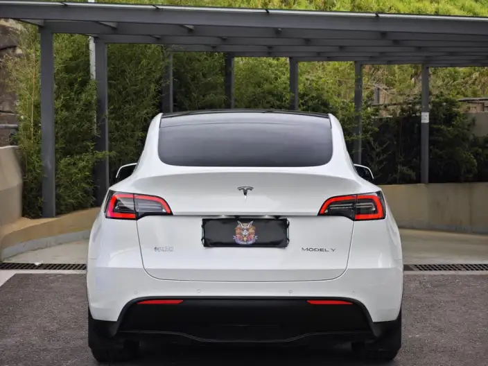 Model Y 2021 Model Standard Battery Life Rear-wheel drive version – фото 5
