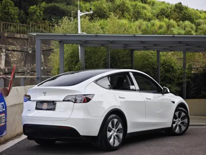 Model Y 2021 Model Standard Battery Life Rear-wheel drive version – фото 6