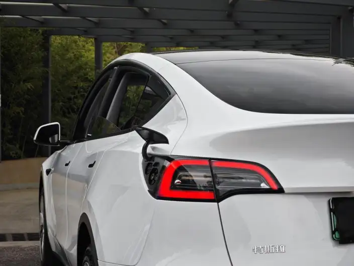 Model Y 2021 Model Standard Battery Life Rear-wheel drive version – фото 7