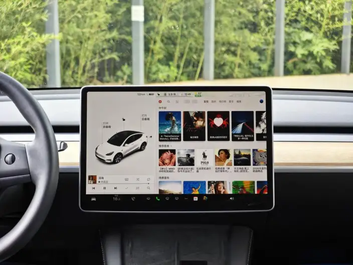 Model Y 2021 Model Standard Battery Life Rear-wheel drive version – фото 8