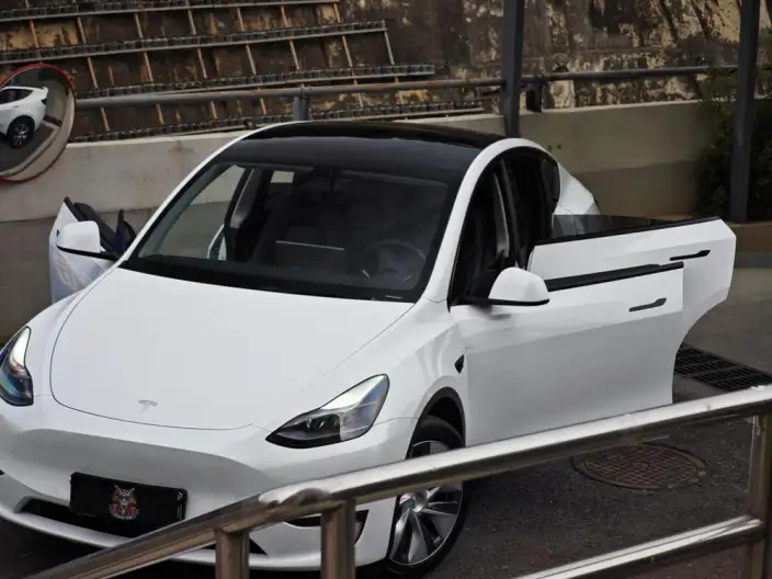 Model Y 2021 Model Standard Battery Life Rear-wheel drive version – фото 10