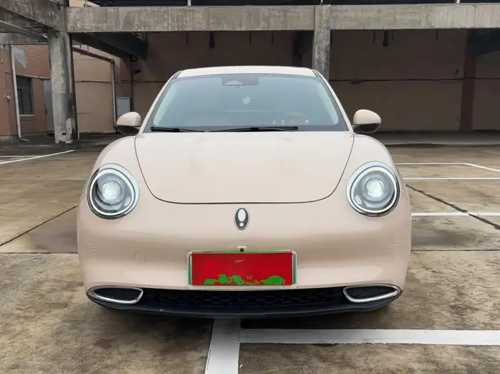ORA Good Cat 2022 Model 400km Standard Battery Life Luxury Model Lithium Iron Phosphate – фото 2