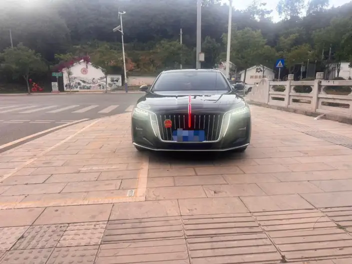 Hongqi H5 2023 Model 2.0T Automatic Smart Flag Enjoy Edition – фото 2
