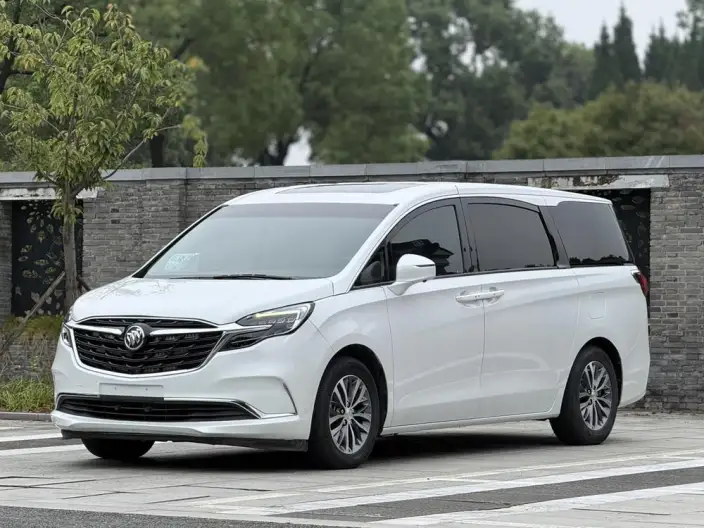 Buick GL8 2021 Model ES Luzun 653T Comfort Model – фото 1