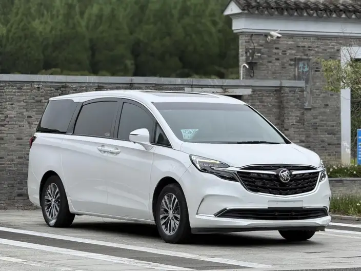 Buick GL8 2021 Model ES Luzun 653T Comfort Model – фото 3