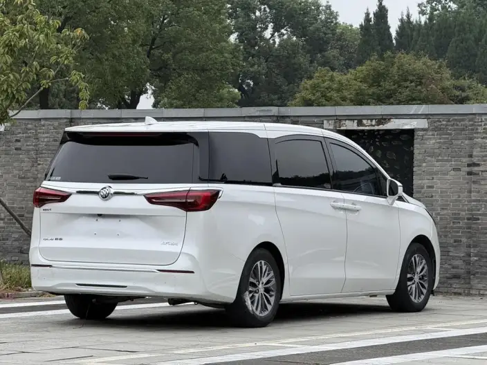 Buick GL8 2021 Model ES Luzun 653T Comfort Model – фото 6
