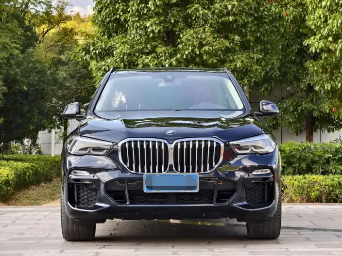 BMW X5 Imported 2021 Model xDrive30i M Sports Set – фото 2