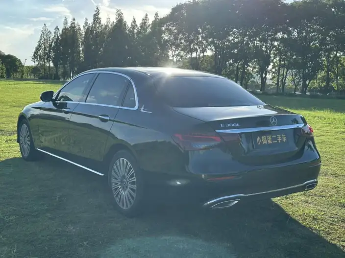Mercedes-Benz E-Class 2021 Model Facelift E 300 L Luxury Model sedan – фото 5