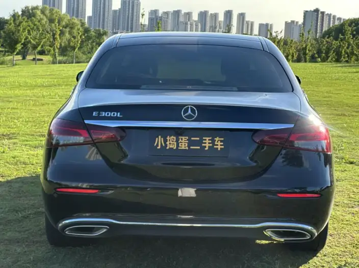 Mercedes-Benz E-Class 2021 Model Facelift E 300 L Luxury Model sedan – фото 6