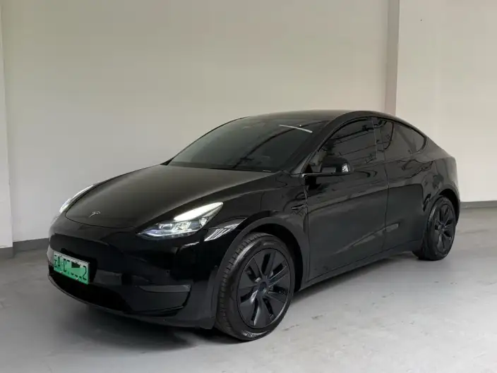 Model Y 2023 Model Long Battery Life Pro All-wheel drive version – фото 1