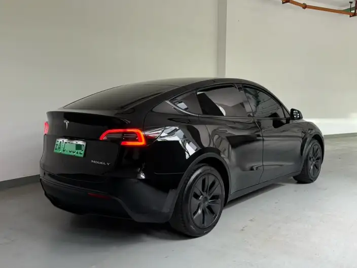 Model Y 2023 Model Long Battery Life Pro All-wheel drive version – фото 5