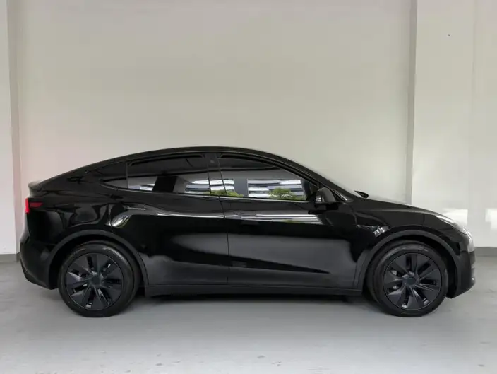 Model Y 2023 Model Long Battery Life Pro All-wheel drive version – фото 6