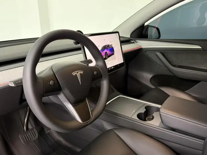 Model Y 2023 Model Long Battery Life Pro All-wheel drive version – фото 9