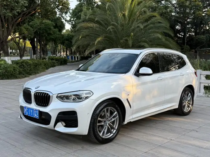 BMW X3 2021 Model xDrive25i M Sports Set – фото 1