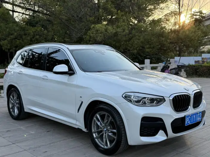 BMW X3 2021 Model xDrive25i M Sports Set – фото 3