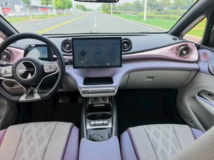 BYD Dolphin 2023 Model Fashion Edition – фото 5