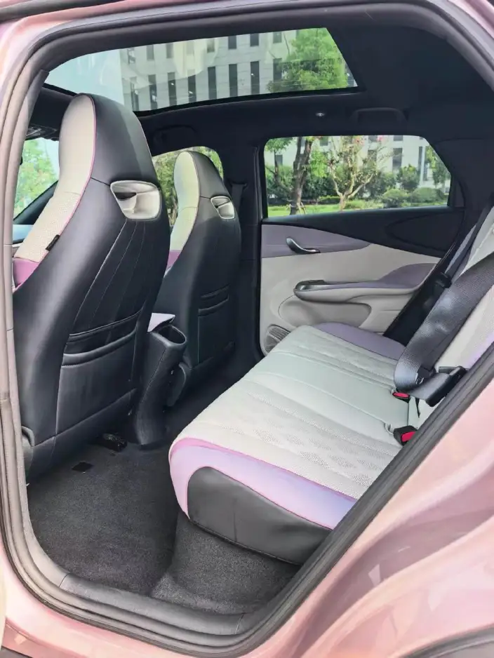 BYD Dolphin 2023 Model Fashion Edition – фото 9