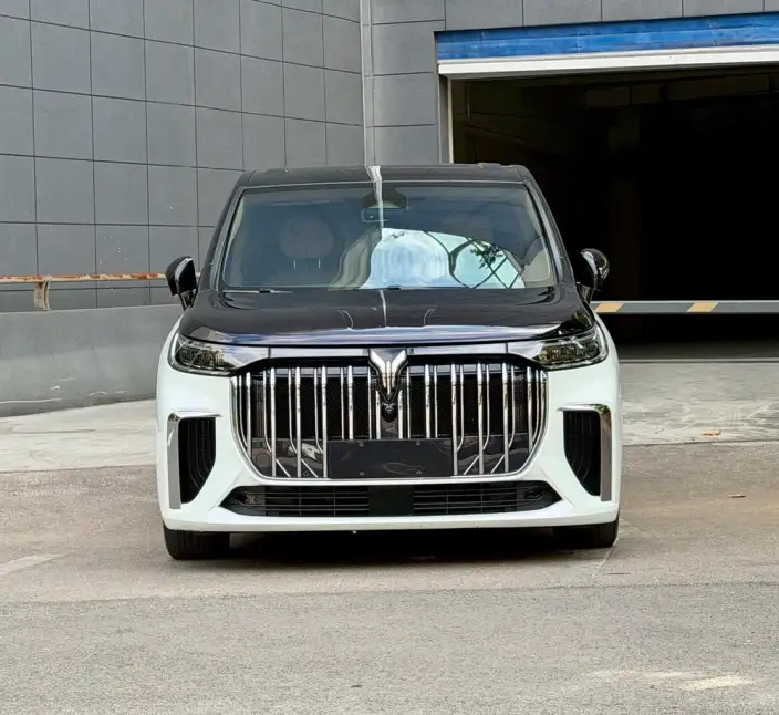 VOYAH Dreamer PHEV 2024 Model Ultra-long Endurance Premium Edition – фото 2