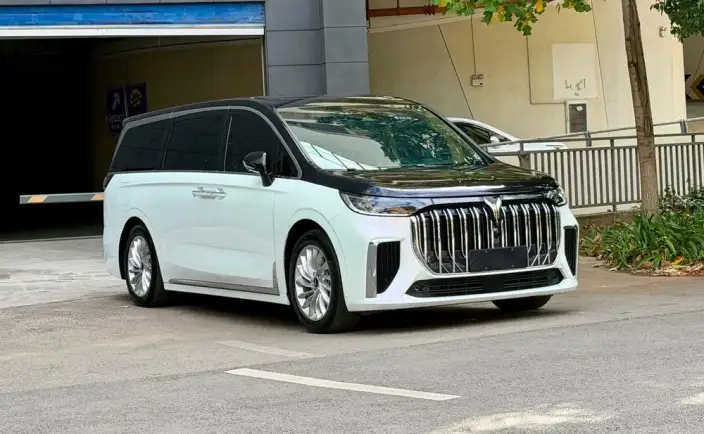 VOYAH Dreamer PHEV 2024 Model Ultra-long Endurance Premium Edition – фото 3