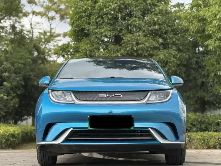 BYD Dolphin 2021 Model Free Edition – фото 2