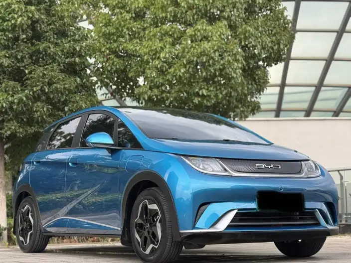 BYD Dolphin 2021 Model Free Edition – фото 3
