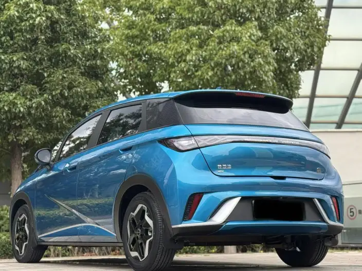 BYD Dolphin 2021 Model Free Edition – фото 4
