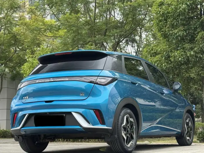 BYD Dolphin 2021 Model Free Edition – фото 6