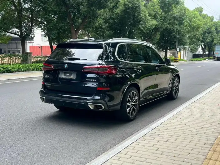 BMW X5 2022 Model xDrive 30Li Exclusive Model M Sports Set – фото 6