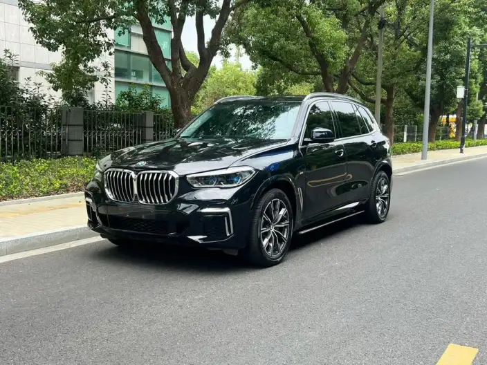BMW X5 2022 Model xDrive 30Li Exclusive Model M Sports Set – фото 10