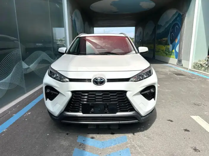 Toyota Wildlander 2020 Model 2.0L 4WD Deluxe Edition – фото 2
